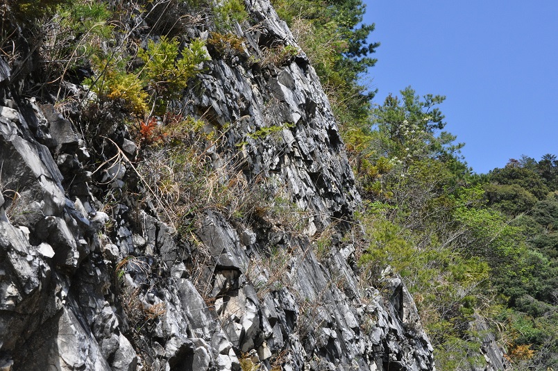 岩がむき出しの急斜面